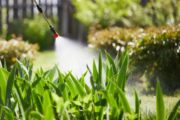24/7 Emergency Wasp Removal experts in Frostburg, MD