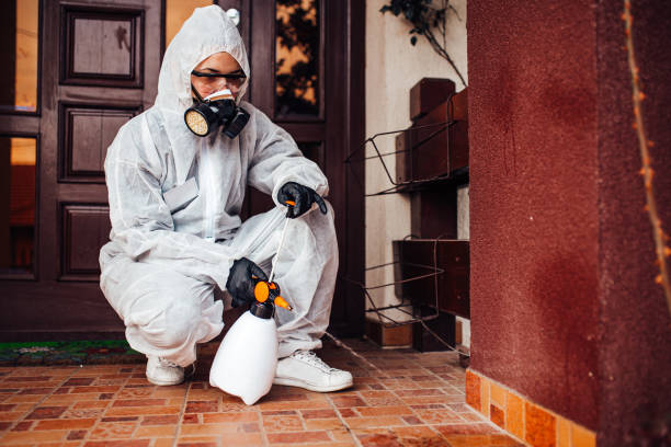 Reliable Wasp Removal contractor in Frostburg, MD by Show Me Pest Control