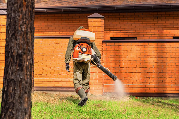 Top rated local Wasp Removal specialists in Frostburg, MD